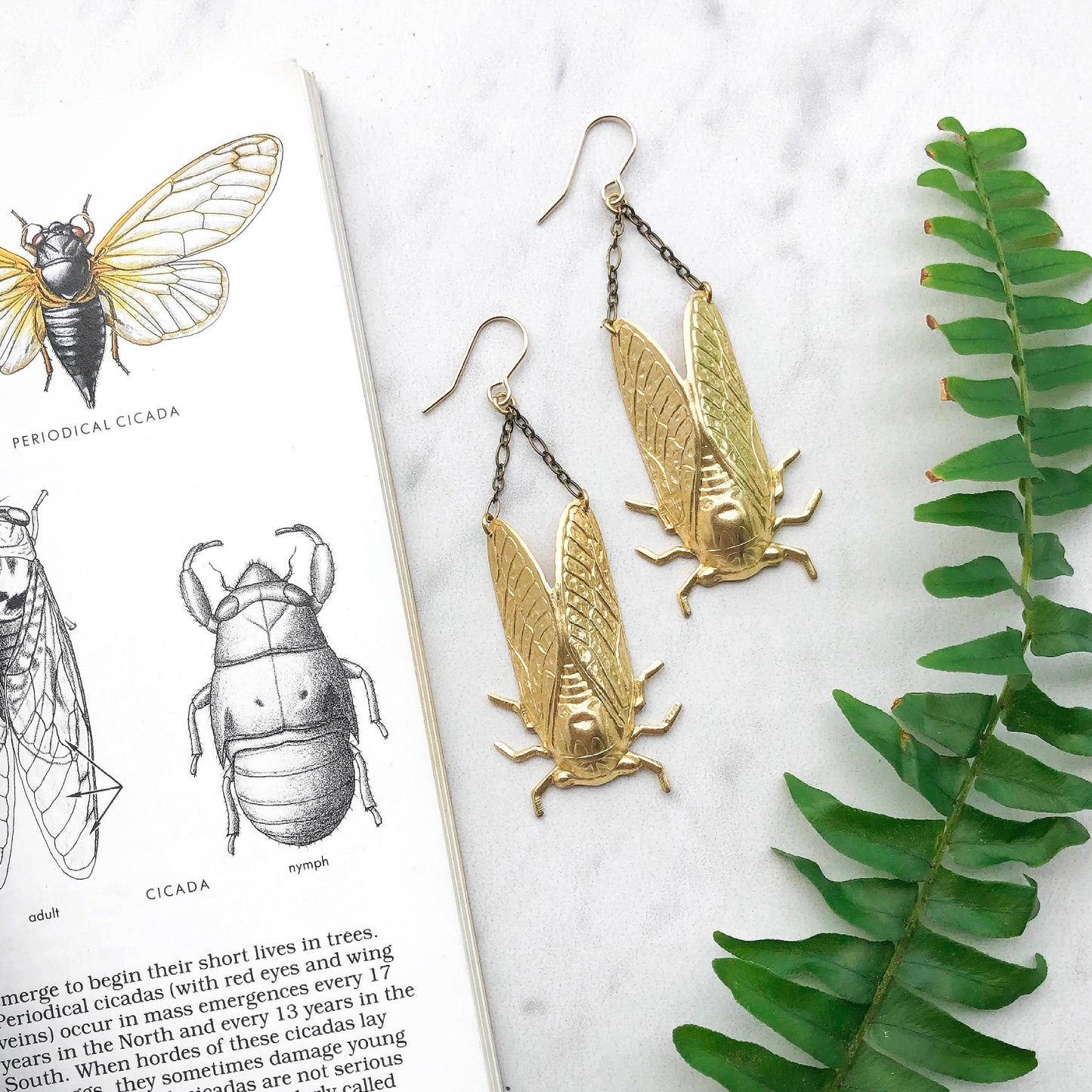 cicada earrings *RTS*